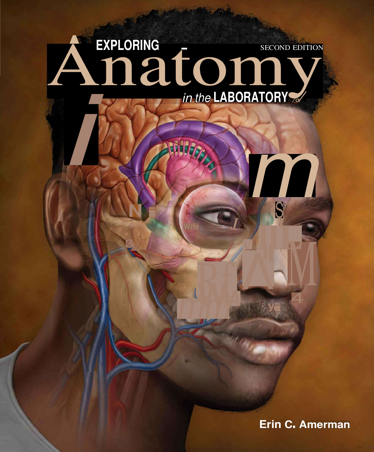Recommended document preview for Exploring Anatomy in the Laboratory 2nd Edition By Erin  Amerman eBook PDF