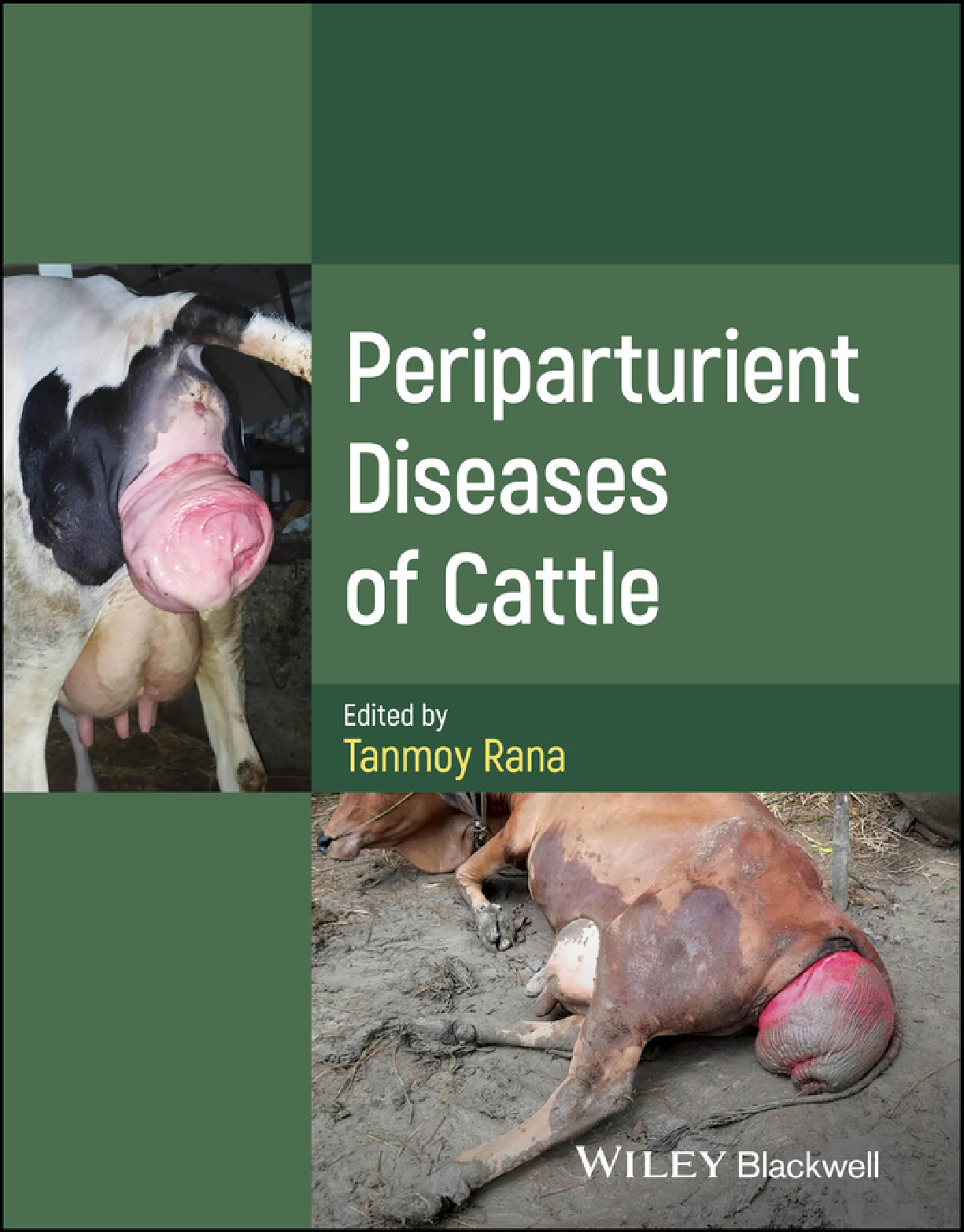 Recommended document preview for Periparturient Diseases of Cattle 1st Edition By Tanmoy Rana eBook PDF