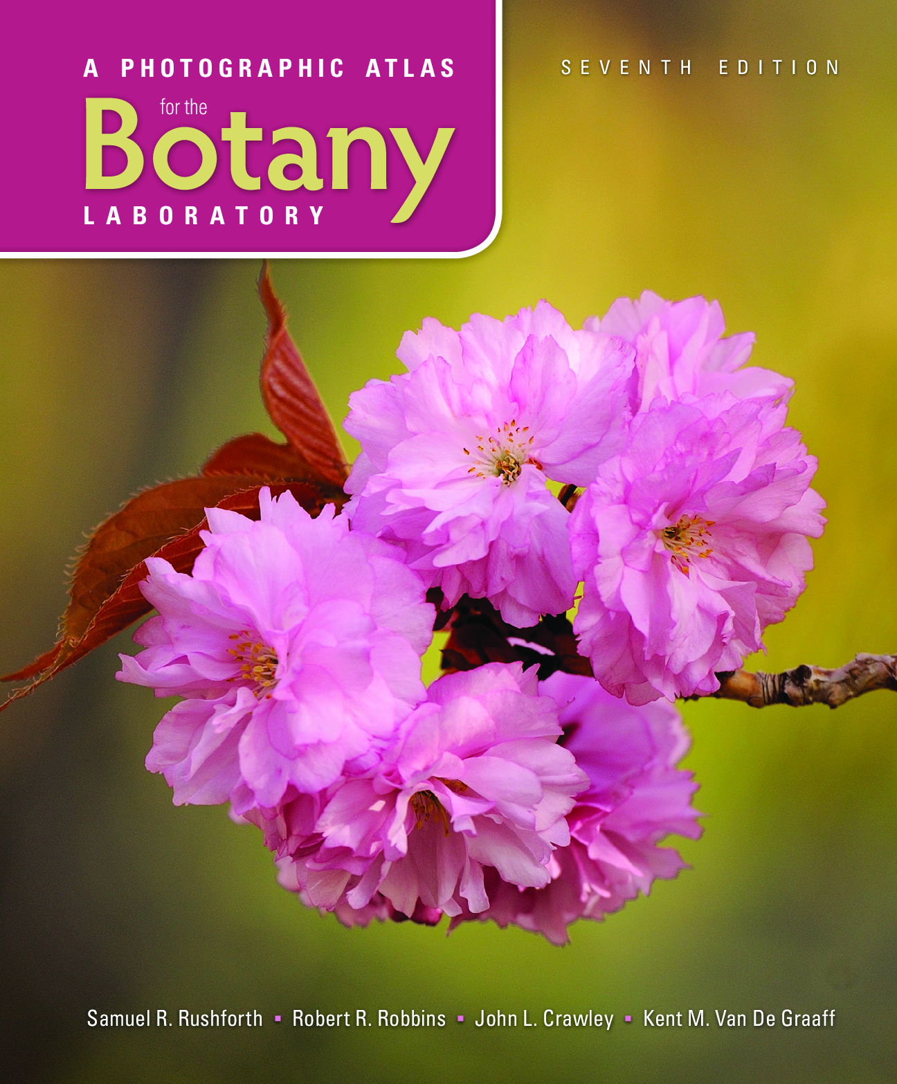Preview of A Photographic Atlas for the Botany Laboratory 7th Edition By Samuel Rushforth eBook PDF