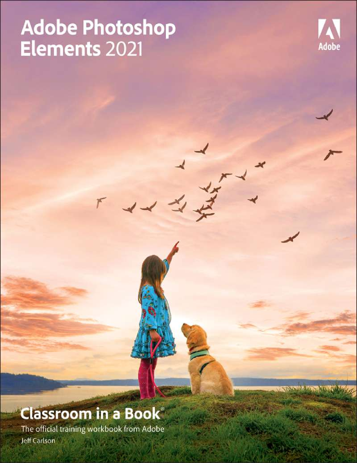 Recommended document preview for Adobe Photoshop Elements 2021 Classroom in a Book 1st Edition By Jeff Carlson eBook PDF