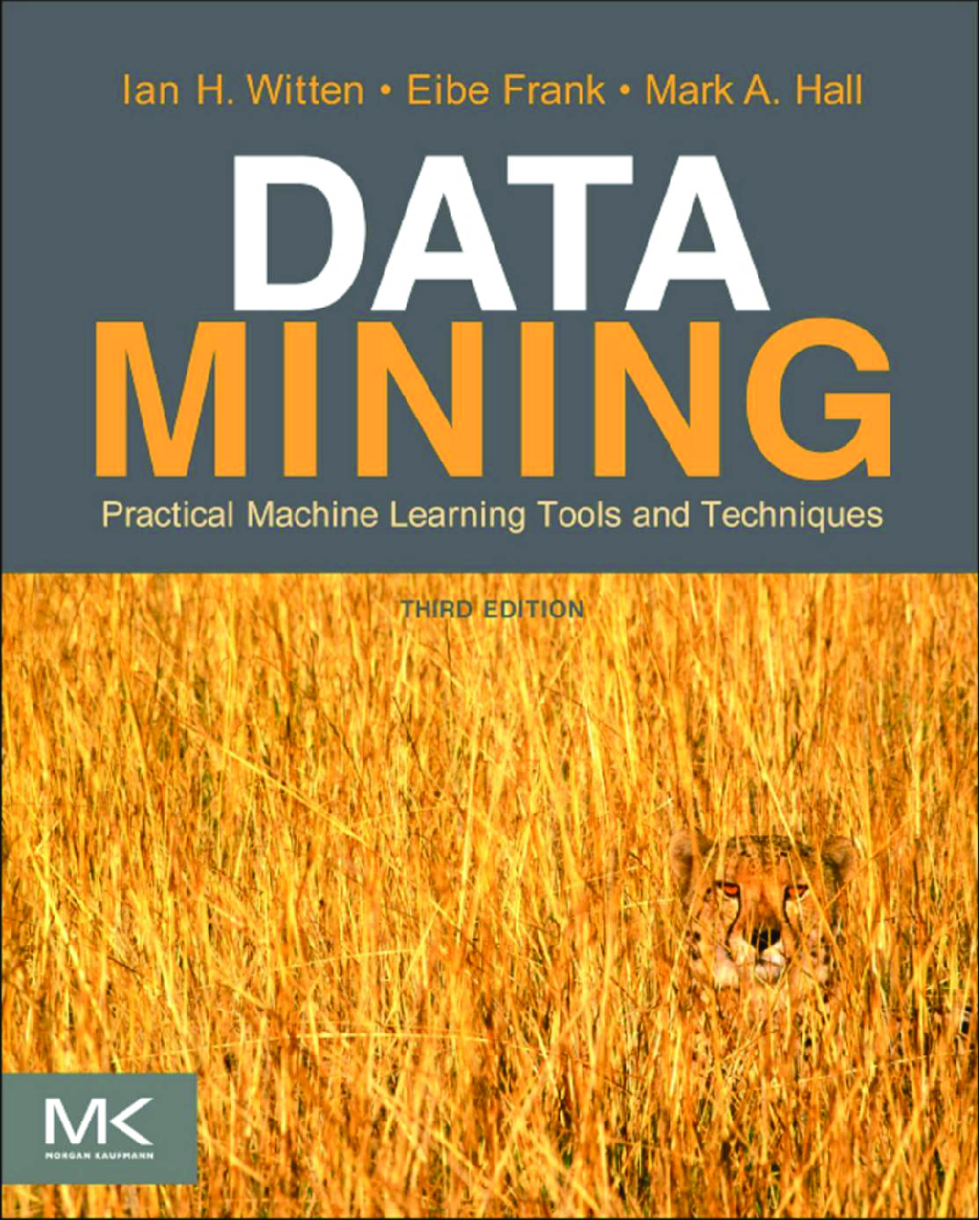 Recommended document preview for eBook [PDF] Data Mining Practical Machine Learning Tools and Techniques 3rd Edition By Ian H_ Witten, Eibe Frank, Mark A_ Hall