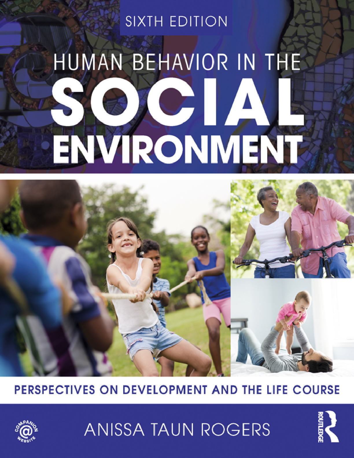 Preview of Human Behavior in the Social Environment 6th Edition By Anissa Taun Rogers eBook EPUB PDF