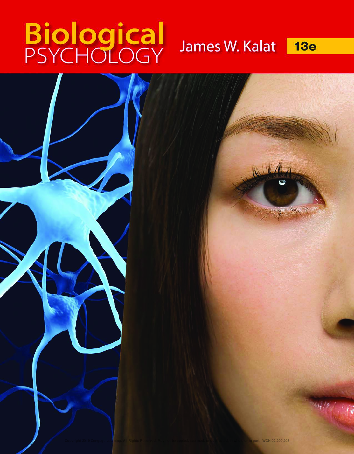 Preview of eBook PDF Biological Psychology 13th Edition By James Kalat