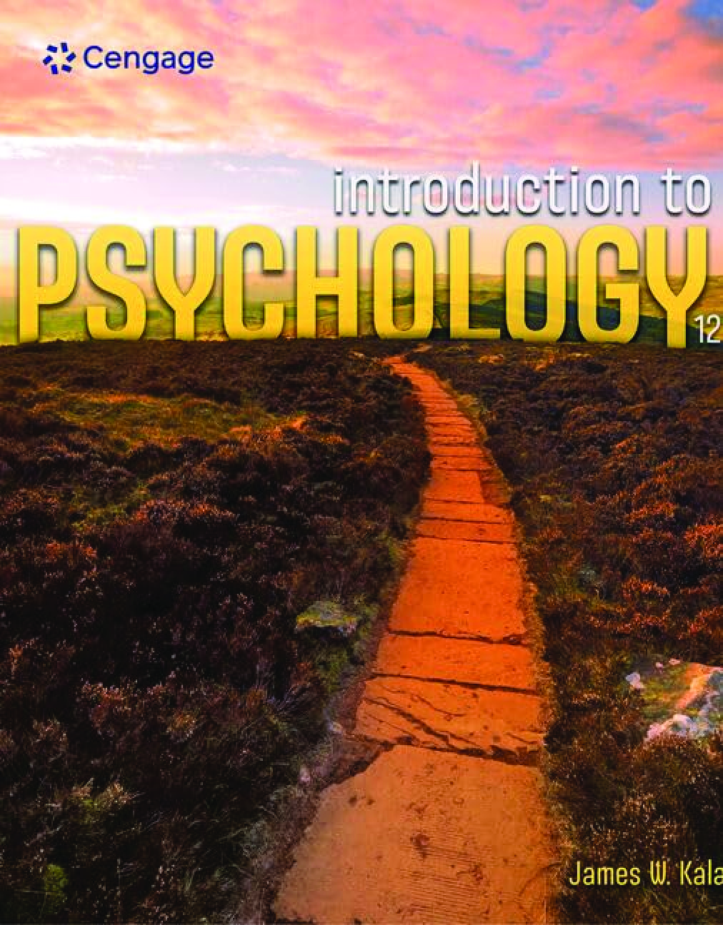 Recommended document preview for eBook PDF Introduction to Psychology 12th Edition By James Kalat
