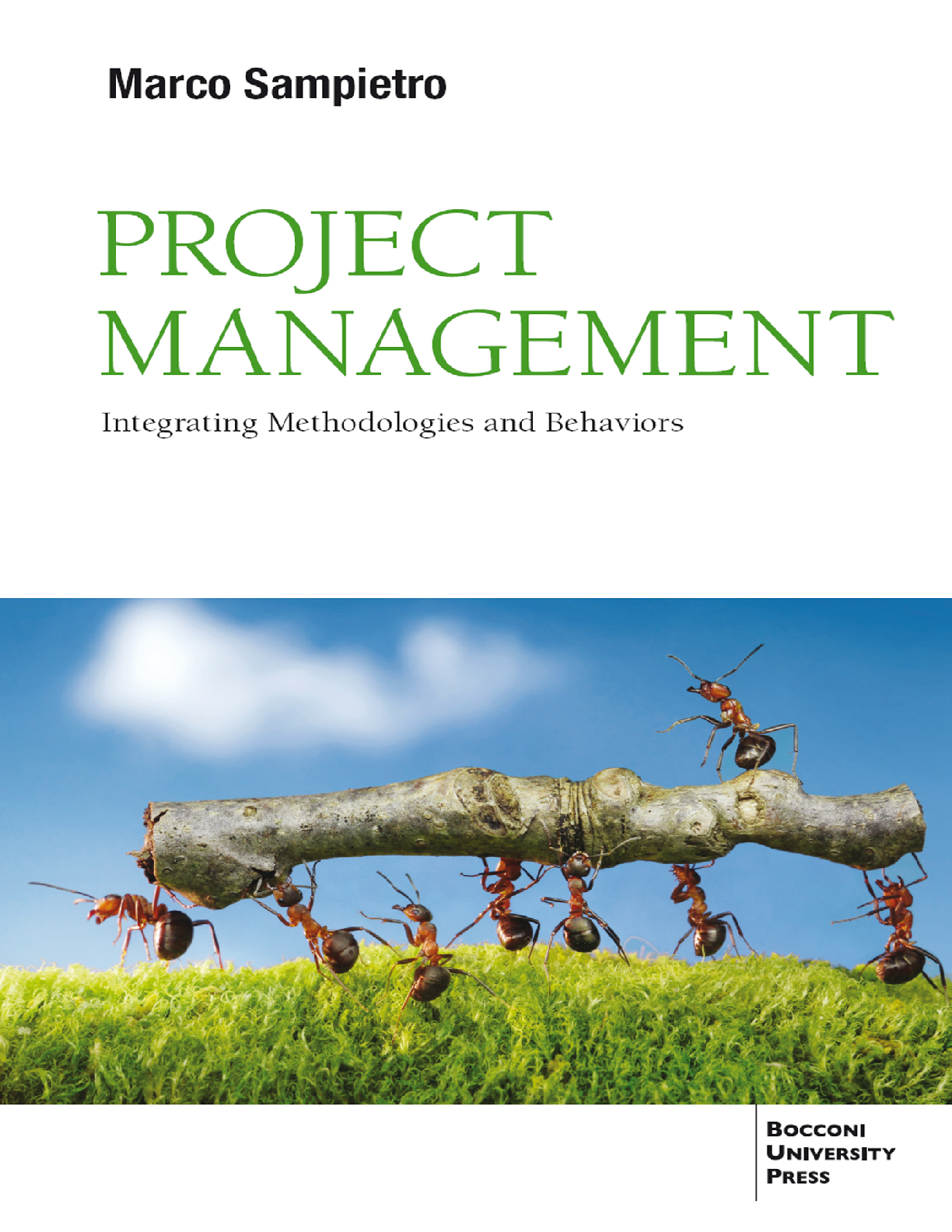 Preview of eBook PDF Project Management Integrating Methodologies and Behaviors 1st Edition By Marco