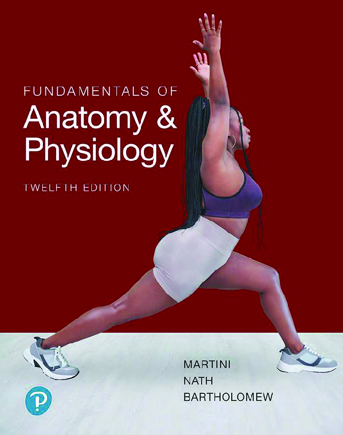 Preview of eBook PDF Fundamentals of Anatomy and Physiology 12th Edition By Frederic Martini, Judi Nath, Edwin Bartholomew_compressed