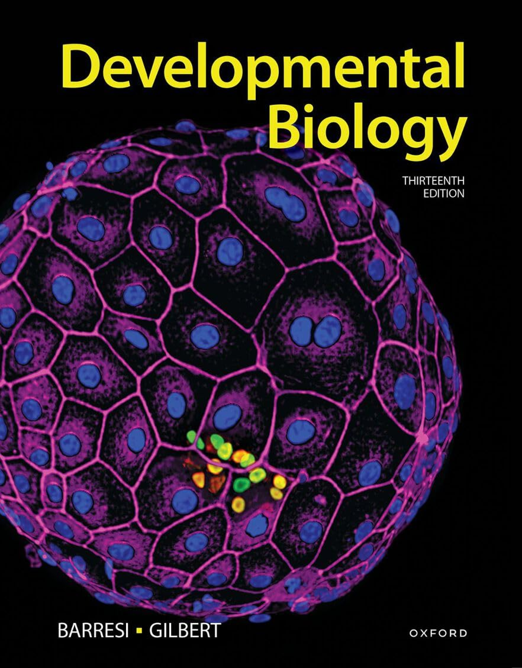 Recommended document preview for Developmental Biology 13th Edition By Michael Barresi, Scott Gilbert eBook EPUB PDF