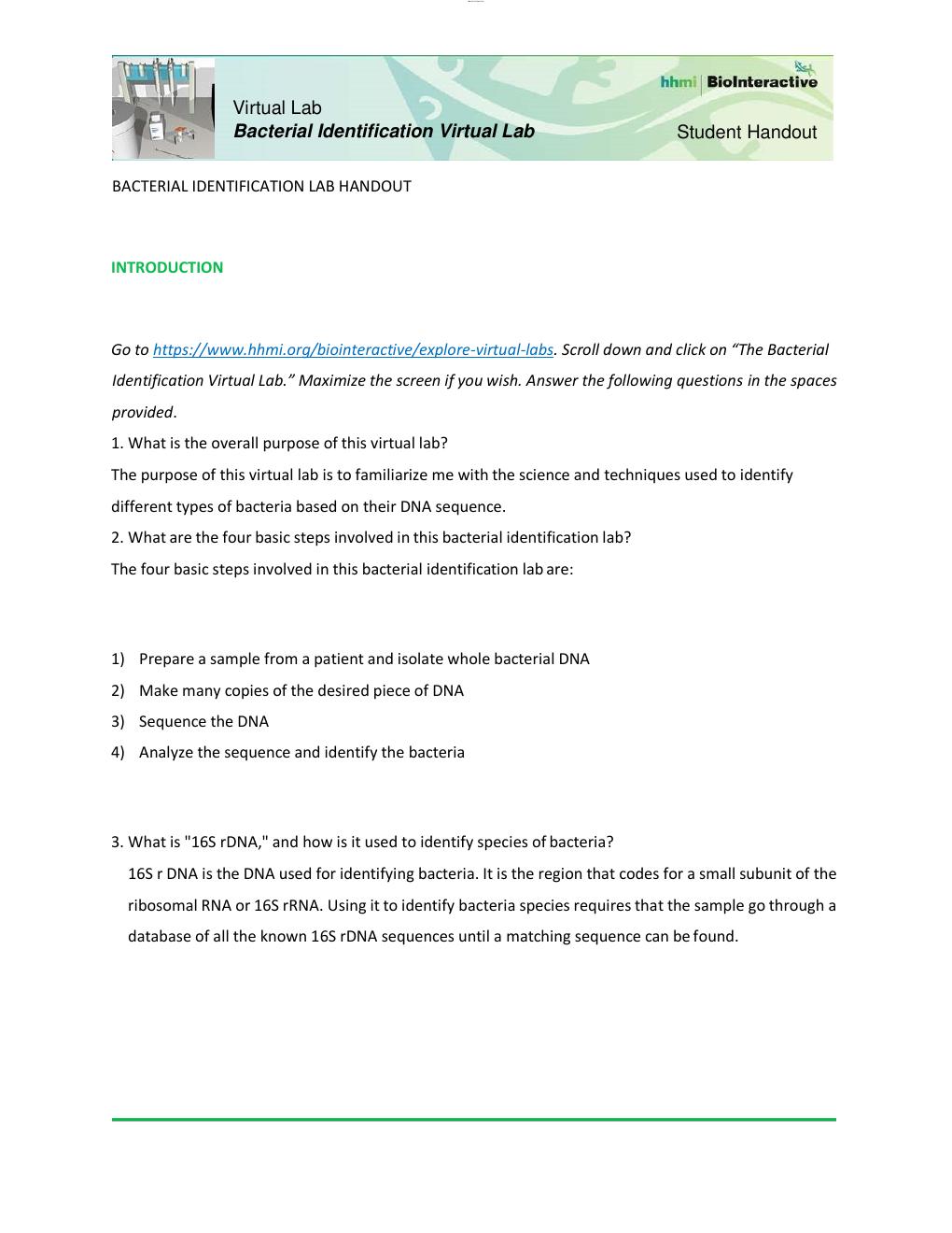 Preview page 2 of Diversity of Life (BSC 1005C) Bacterial Identification Lab Worksheet