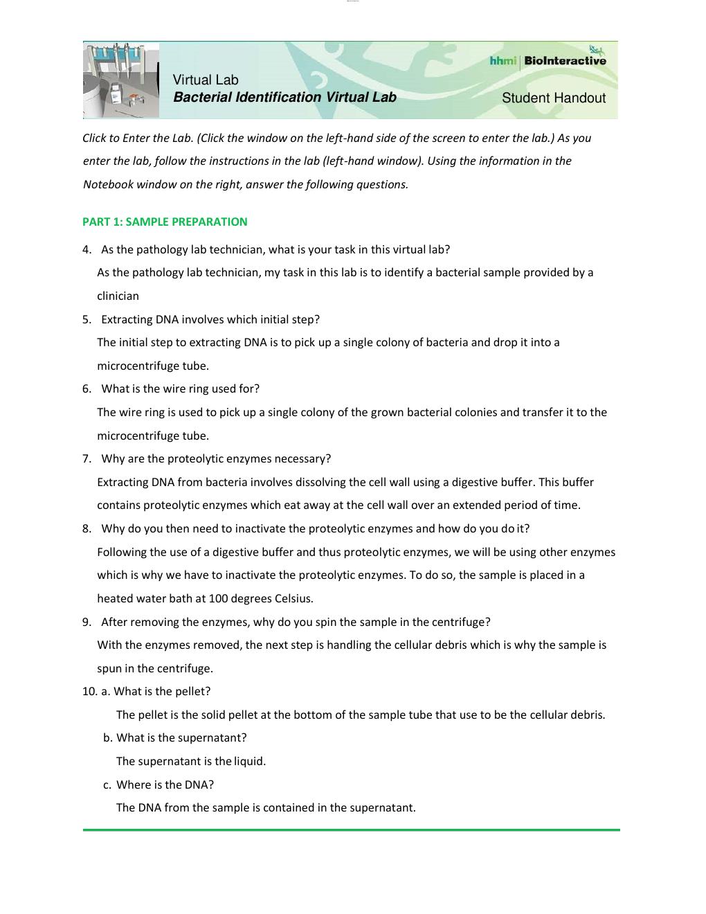 Preview page 3 of Diversity of Life (BSC 1005C) Bacterial Identification Lab Worksheet