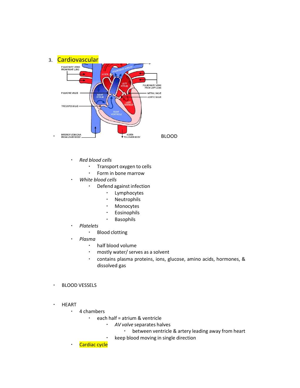 Preview page 7 of ATI TEAS 6 General Anatomy and Physiology