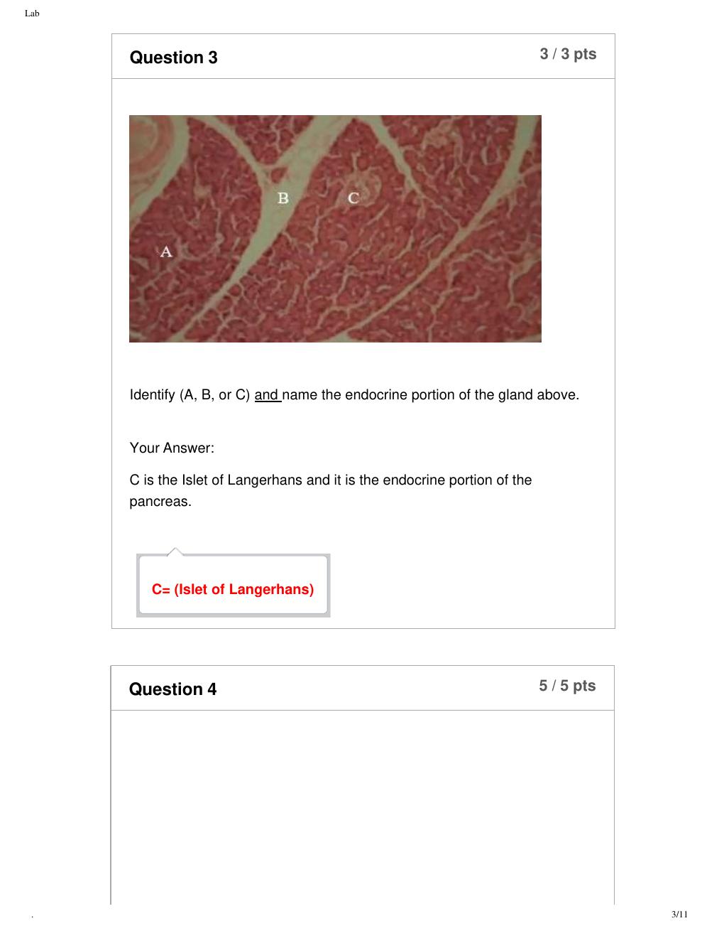 Preview page 3 of BIOD 152 AP2 Lab 6 Exam- Portage Learning