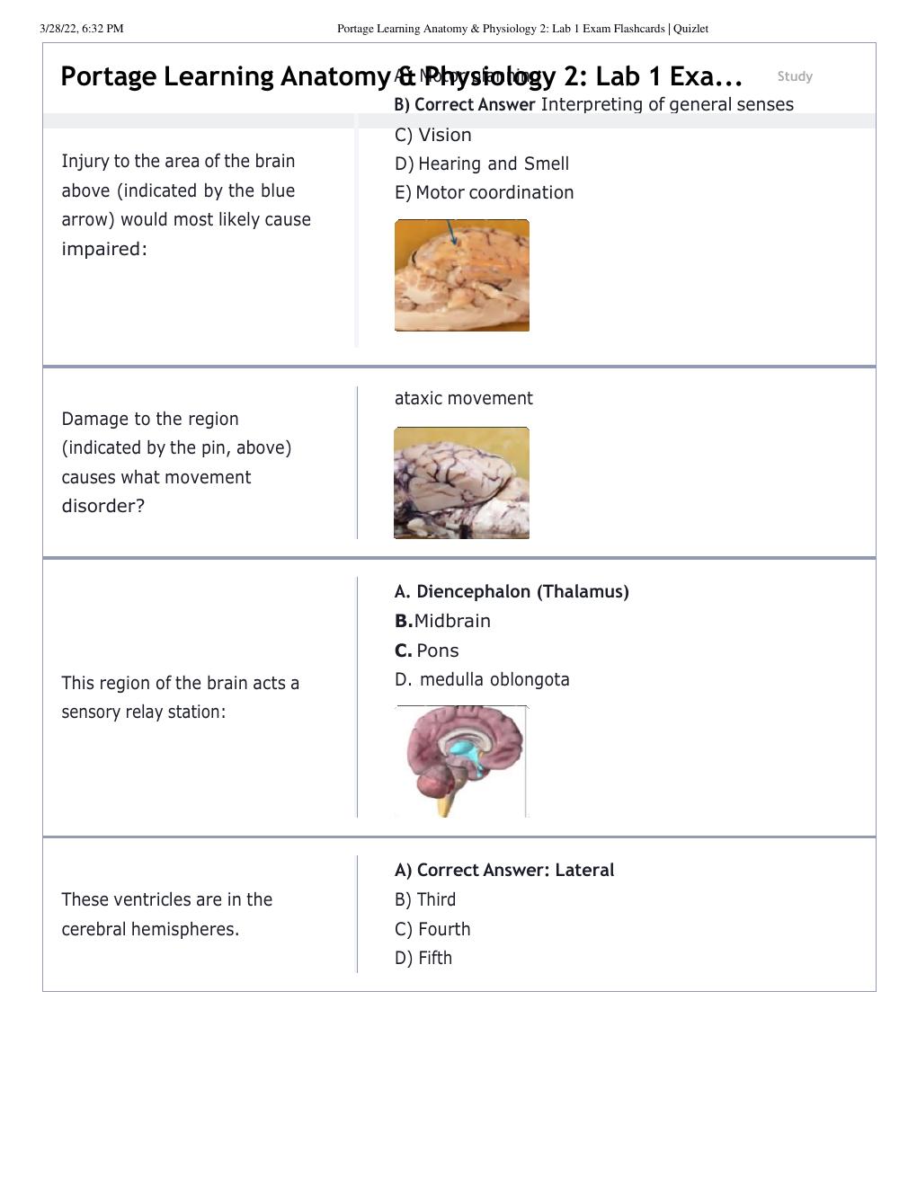 Preview page 2 of Nursing BS 231 Portage Learning Anatomy & Physiology 2_ Lab 1 Exam Flashcard
