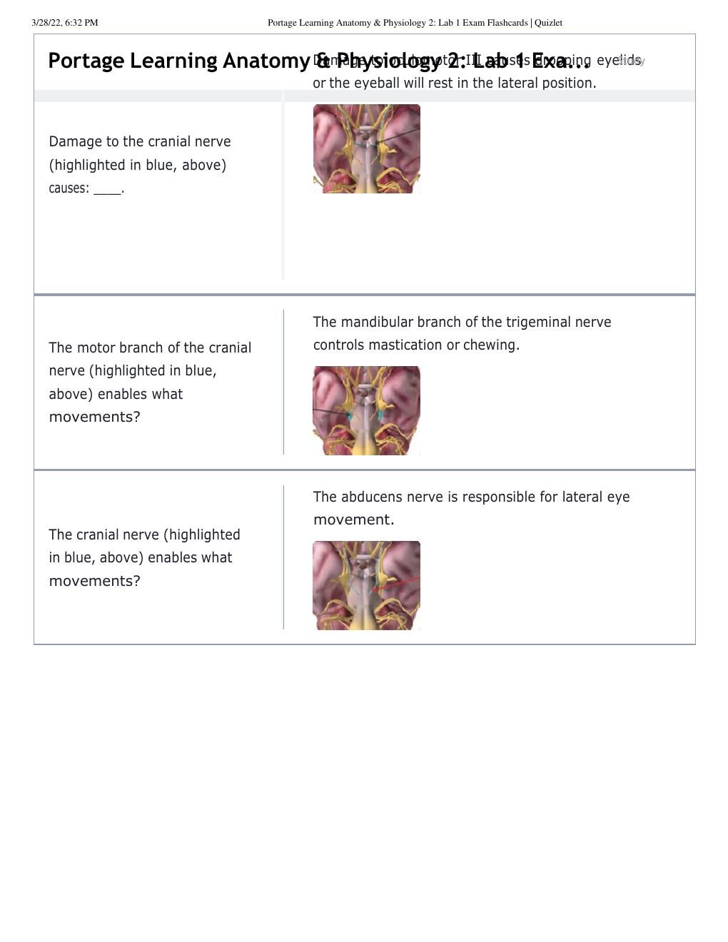 Preview page 3 of Nursing BS 231 Portage Learning Anatomy & Physiology 2_ Lab 1 Exam Flashcard