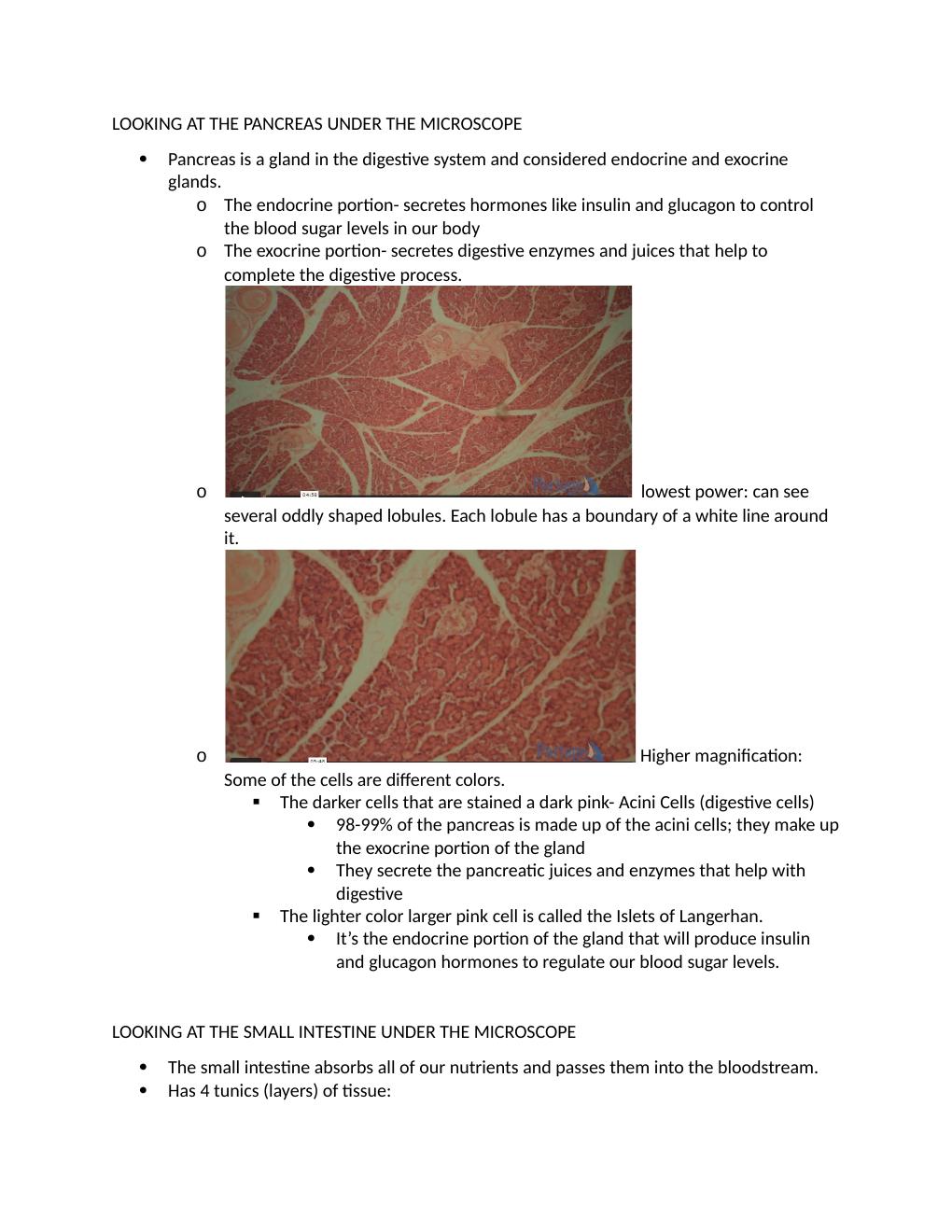 Preview page 2 of BIOD 152 A&P II LAB 6 PORTAGE LEARNING