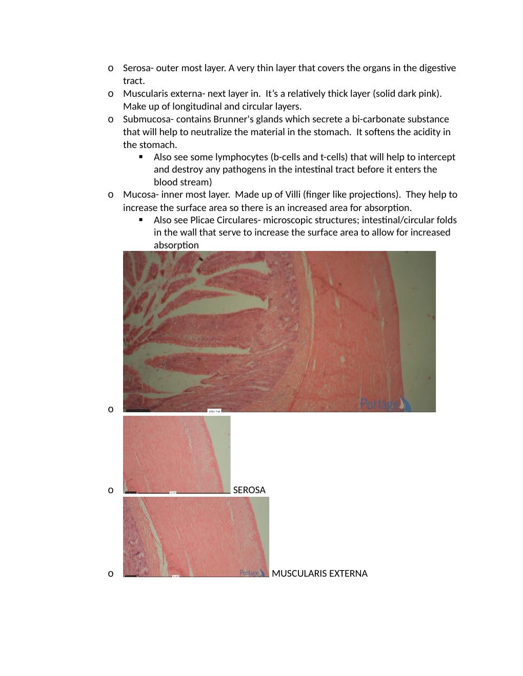 Preview page 3 of BIOD 152 A&P II LAB 6 PORTAGE LEARNING