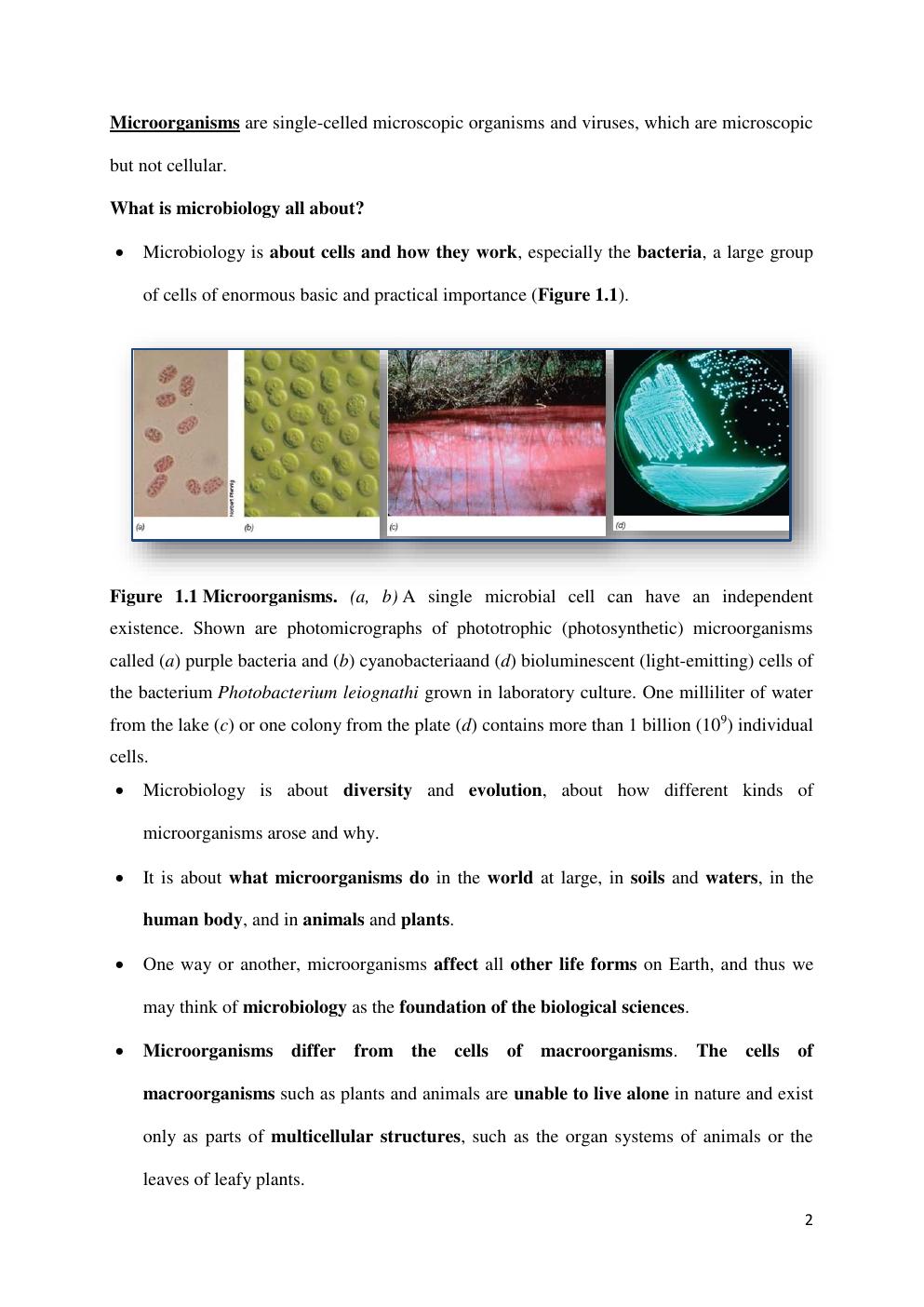 Preview page 2 of GENERAL MICROBIOLOGY MBIO 140