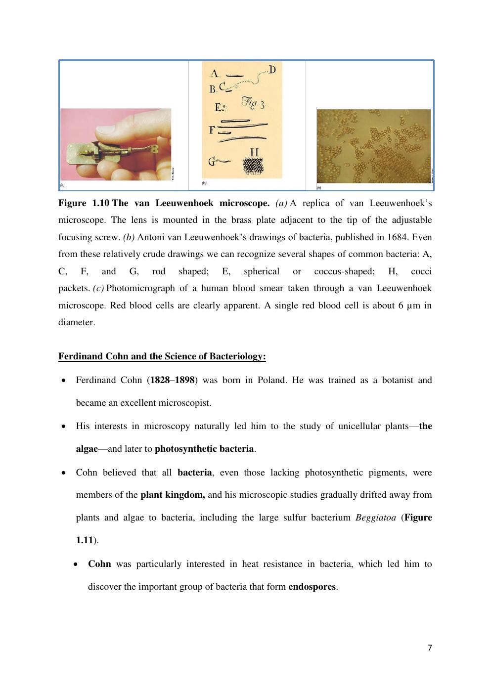 Preview page 7 of GENERAL MICROBIOLOGY MBIO 140