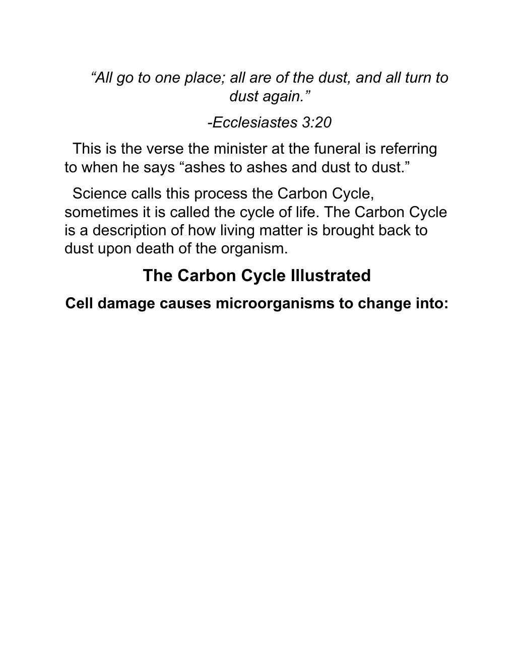 Preview page 4 of Self Heal by Design- the Role of Micro-Organisms for Health by Barbara O'Neill