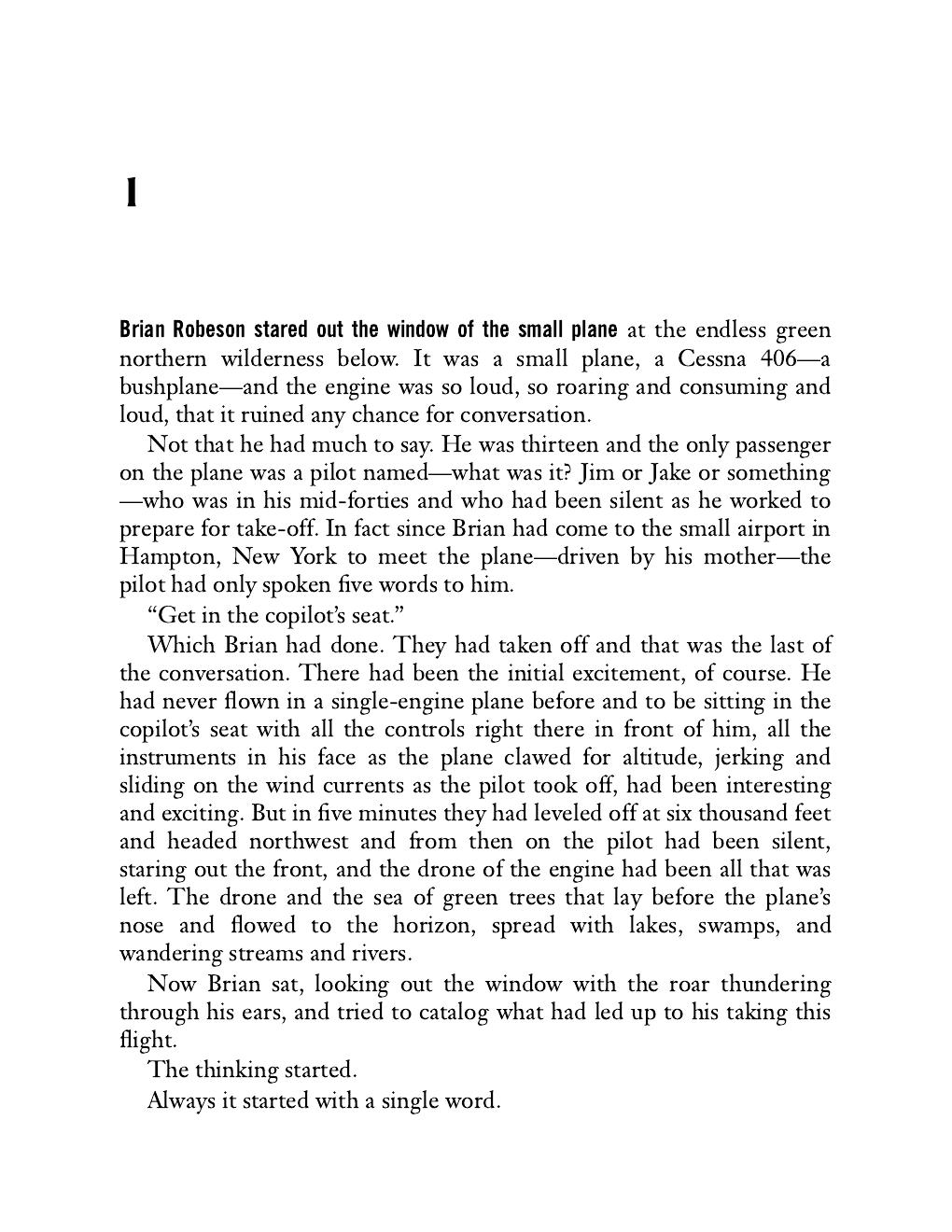 Preview page 9 of Hatchet by Gary Paulsen