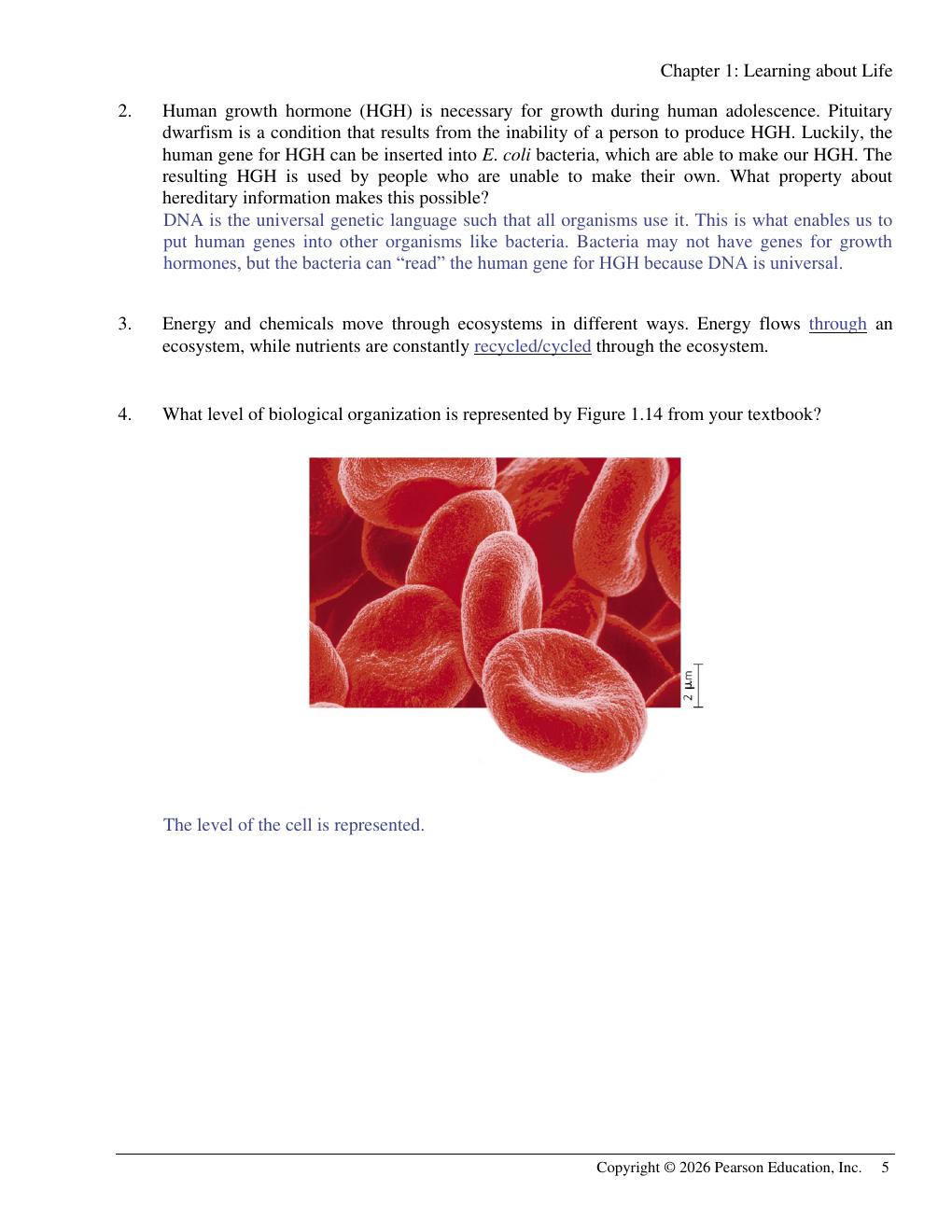 Preview page 7 of Solution Manual Campbell Essential Biology 8th Edition By Eric Simon, Kelly Hogan