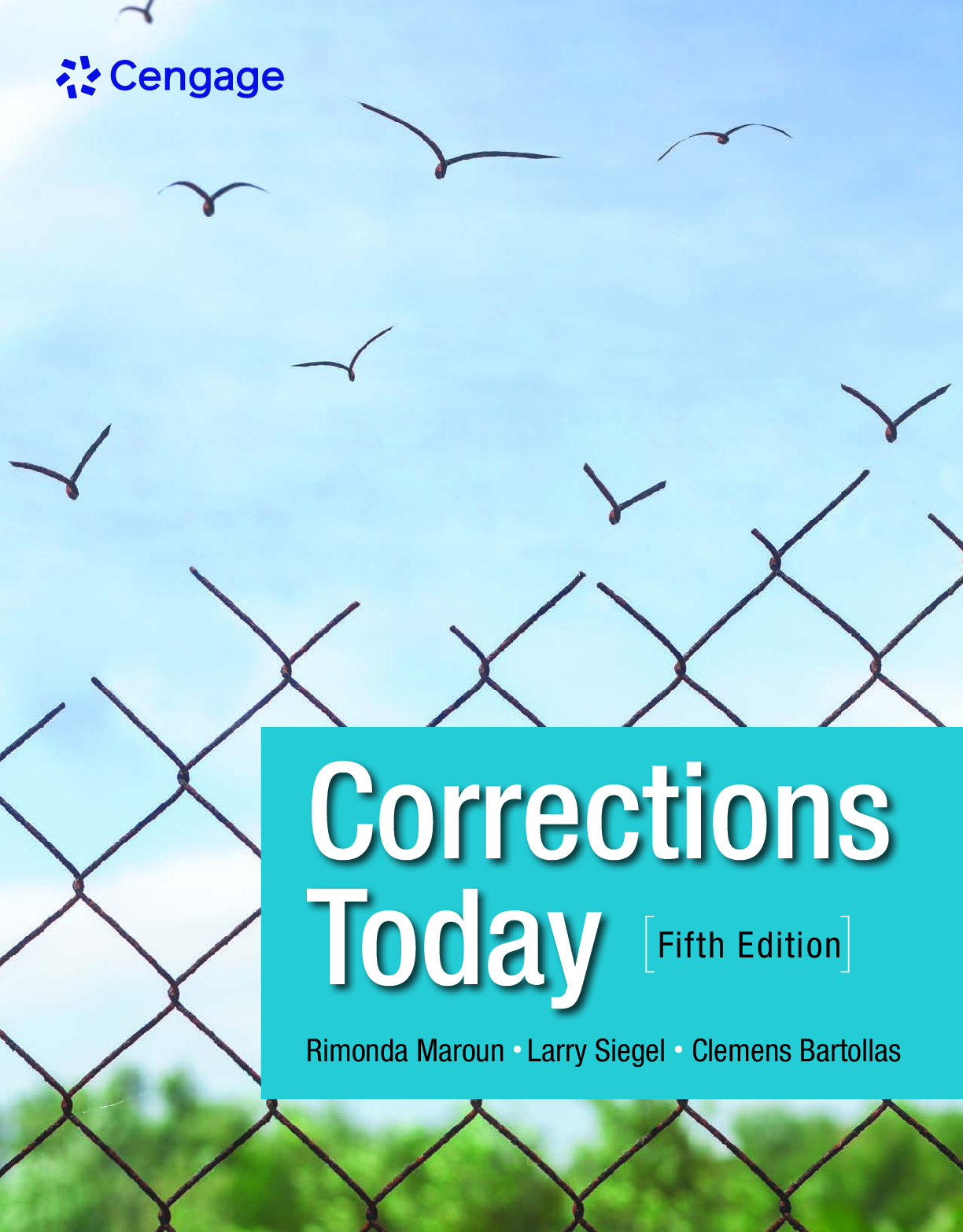 Preview of eBook PDF Corrections Today 5th Edition By Rimonda Maroun, Larry Siegel, Clemens Bartollas