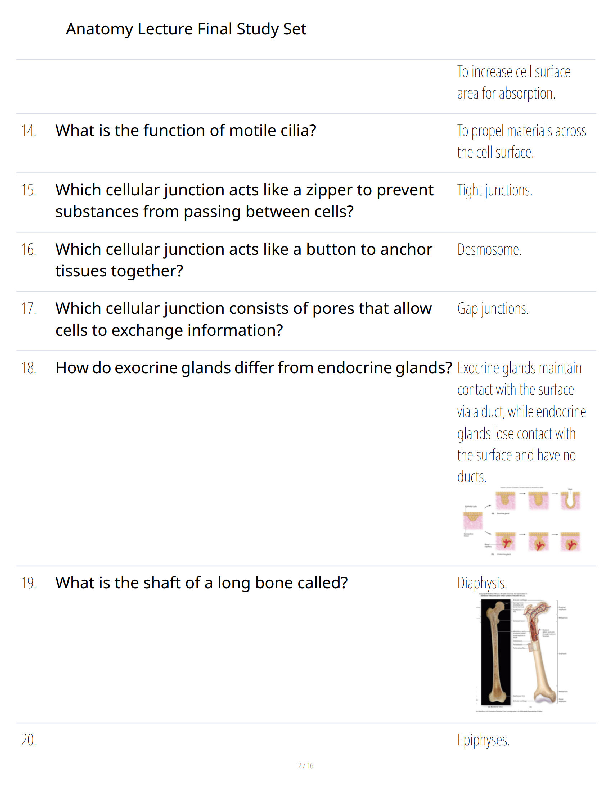 Preview page 2 of Anatomy Lecture Final Study Set – Complete Final Exam Mastery Review – Verified Questions and Answers – Ultimate Success