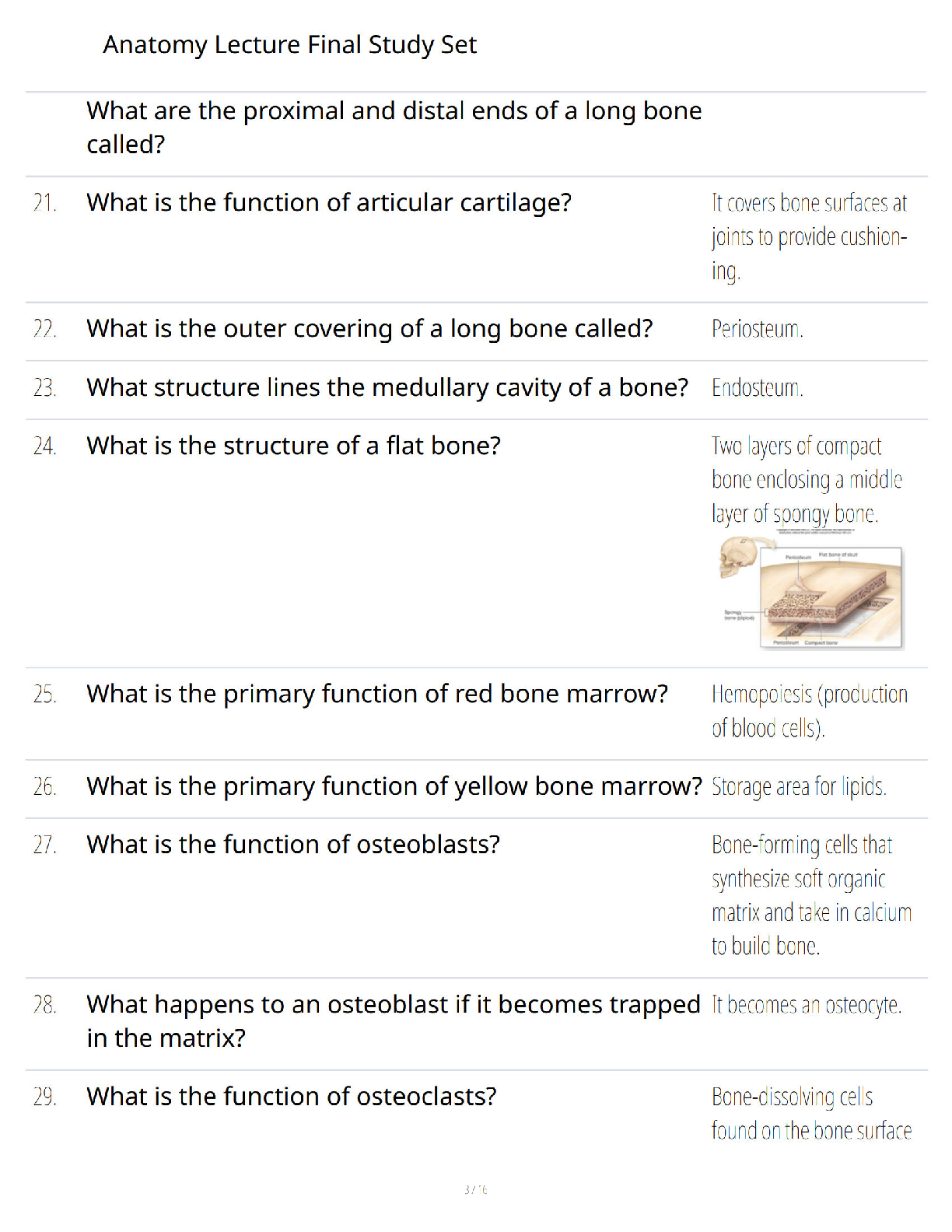 Preview page 3 of Anatomy Lecture Final Study Set – Complete Final Exam Mastery Review – Verified Questions and Answers – Ultimate Success