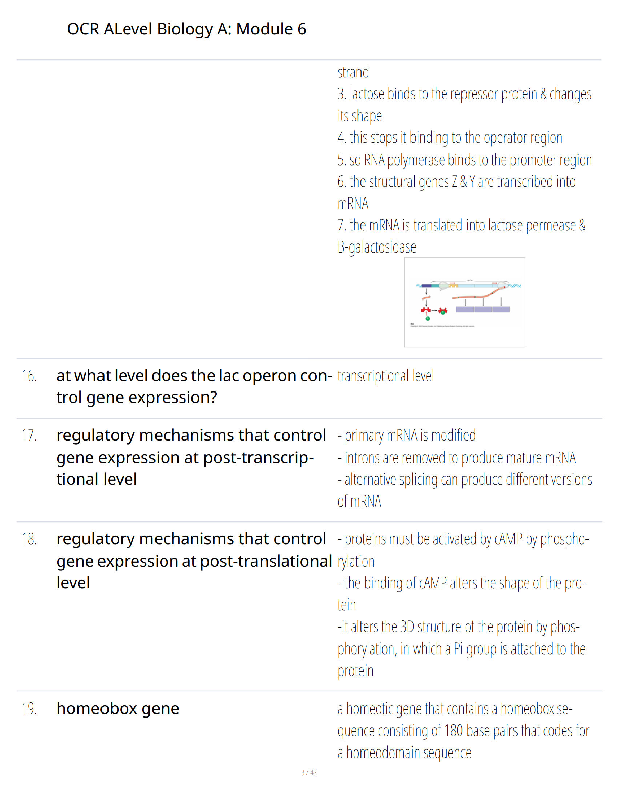 Preview page 2 of OCR A Level Biology A - Module 6 - Genetics - Evolution and Ecosystems - Ultimate Study Guide - Verified Questions and A