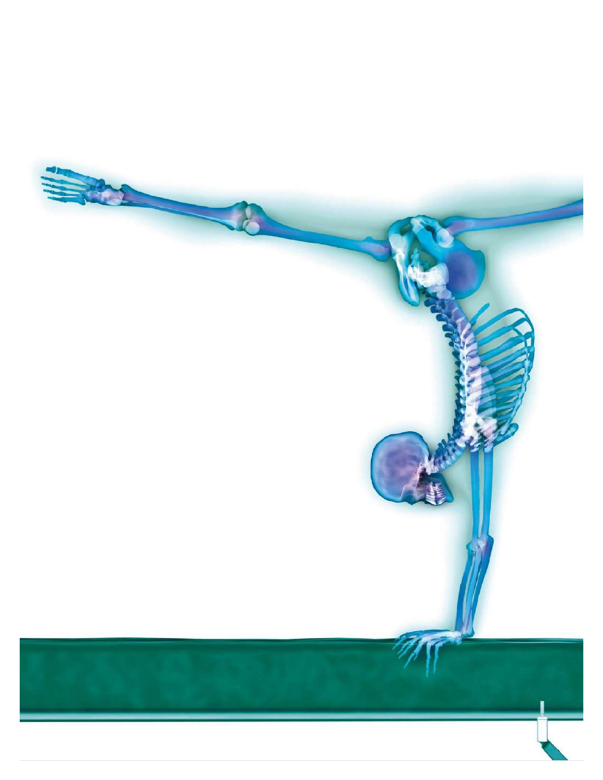 Preview page 2 of Human Body A Children's Encyclopedia 1st Edition By DK