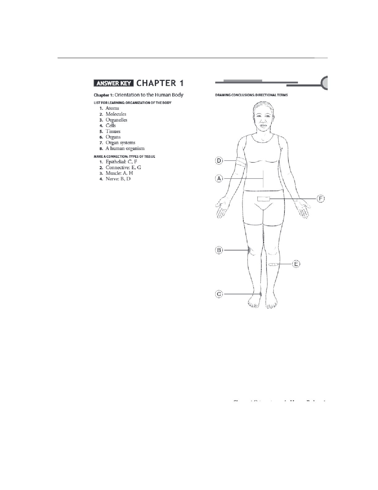 Preview page 3 of Workbook Answer Keys for Understanding Anatomy..