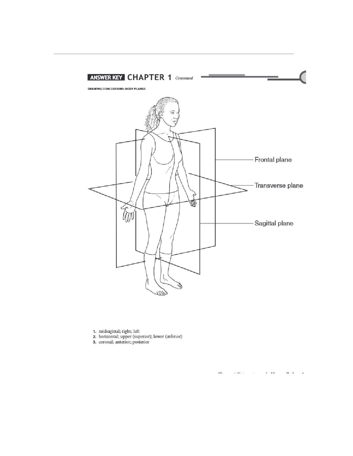 Preview page 5 of Workbook Answer Keys for Understanding Anatomy..