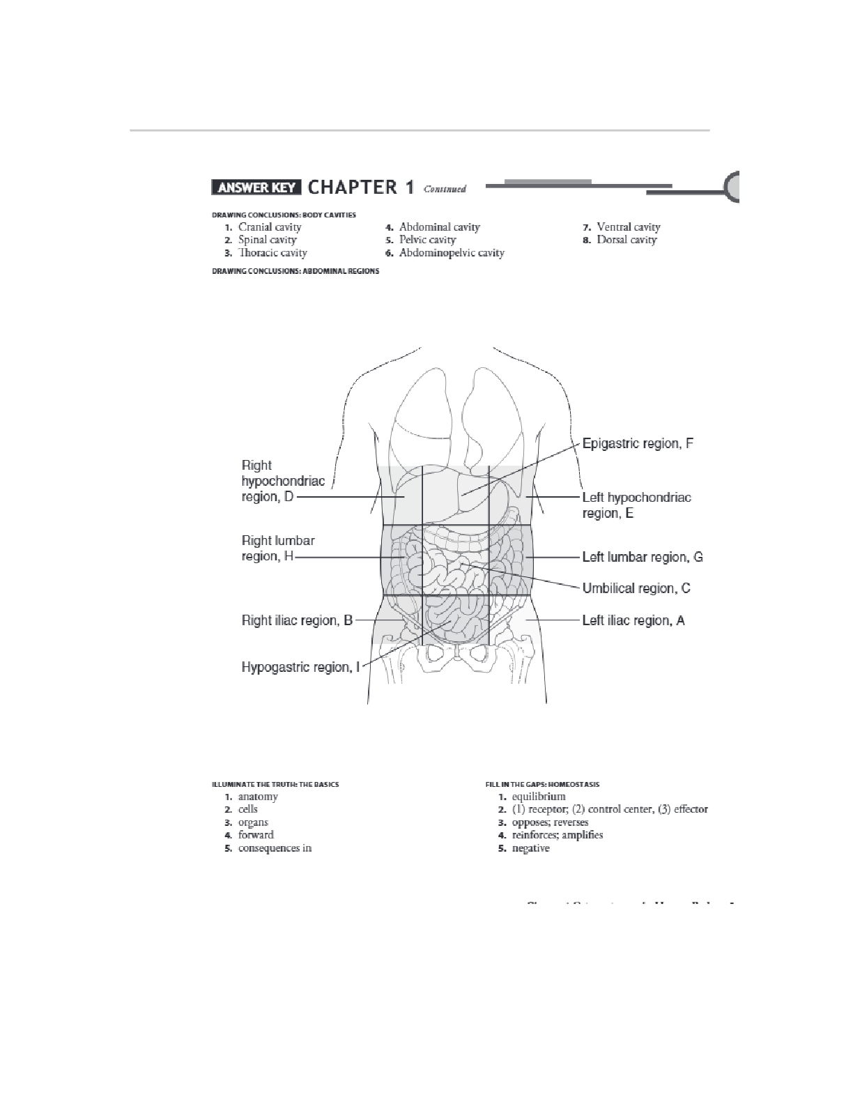 Preview page 6 of Workbook Answer Keys for Understanding Anatomy..