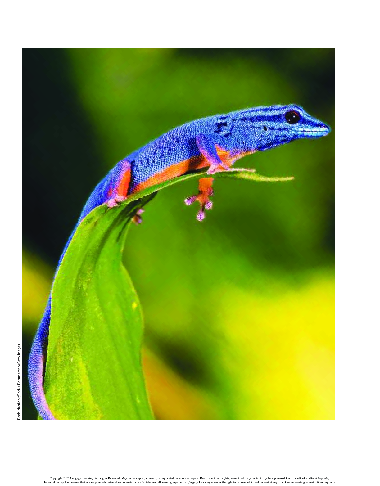 Preview page 2 of Environmental Science 17th Edition By G. Tyler Miller, Scott E. Spoolman, Danielle M. Andrews-Brown