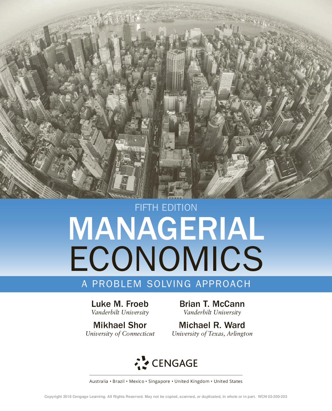 Preview page 2 of Managerial Economics A Problem Solving Approach 5th Edition By Brian T. McCann, Michael R. Ward