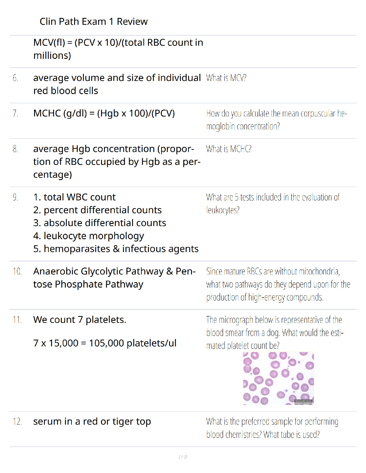 Preview page 2 of Patho Exam 1 Study Guide - Updated Edition - Comprehensive Review - Verified Questions and Answers - A+ Guaranteed Exam
