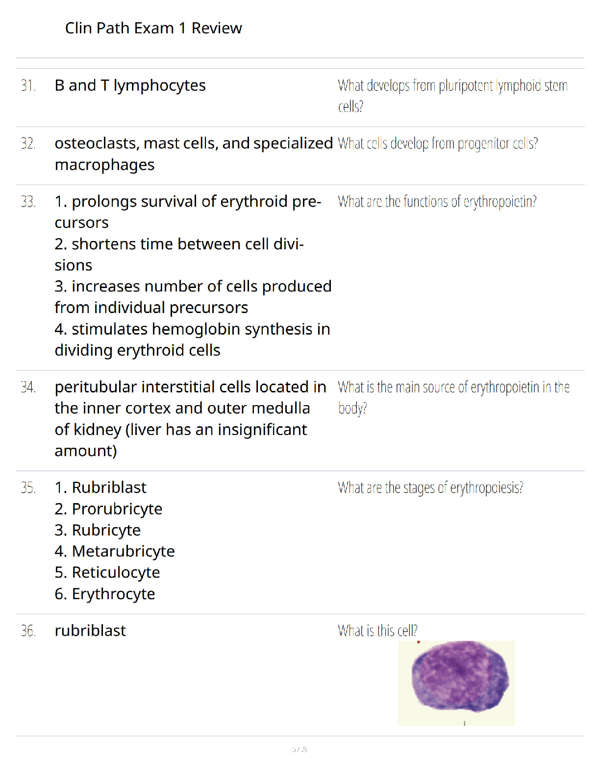 Preview page 5 of Patho Exam 1 Study Guide - Updated Edition - Comprehensive Review - Verified Questions and Answers - A+ Guaranteed Exam