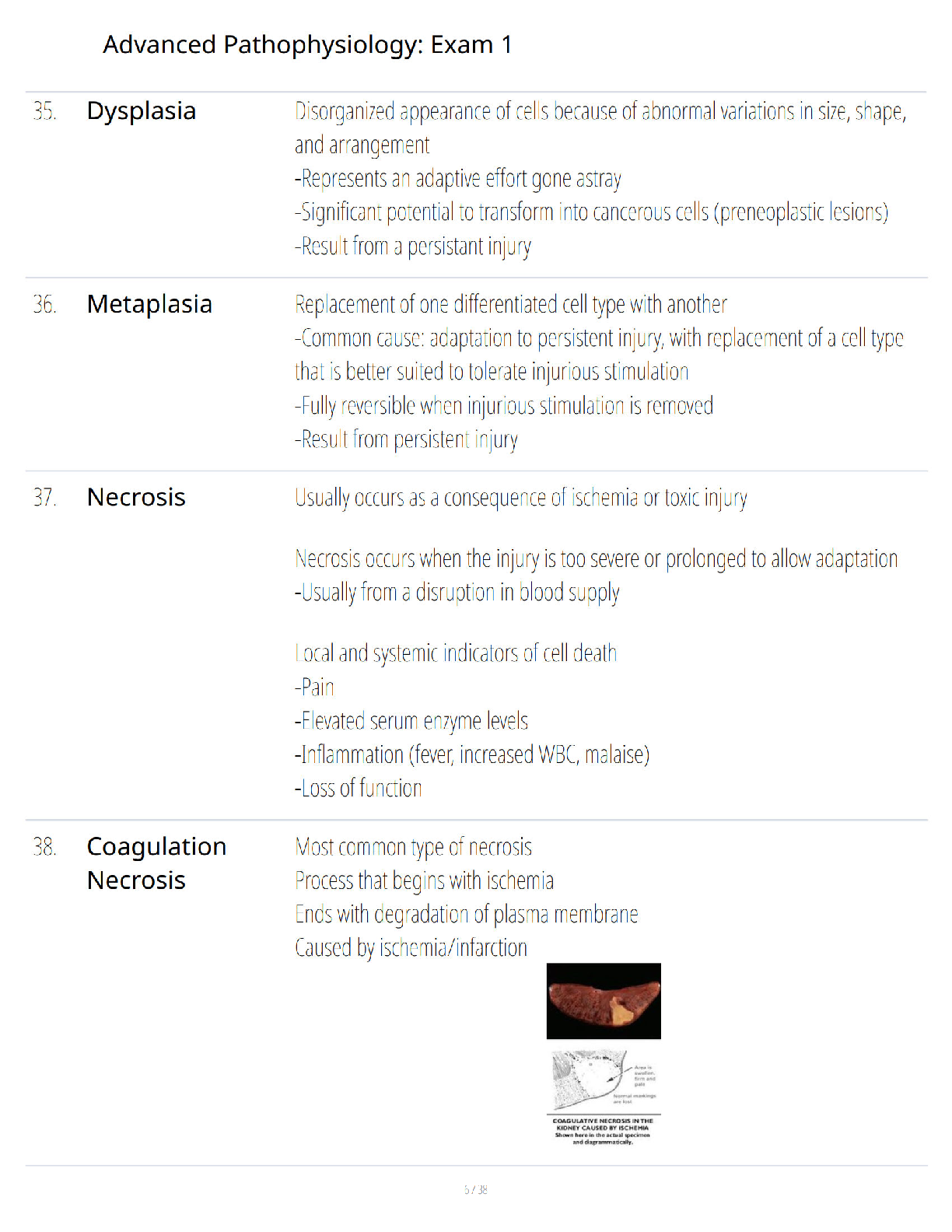 Preview page 5 of Advanced Pathophysiology Exam 1 Study Guide - Comprehensive Exam Review - Verified Questions and Answers - A+ Guaranteed