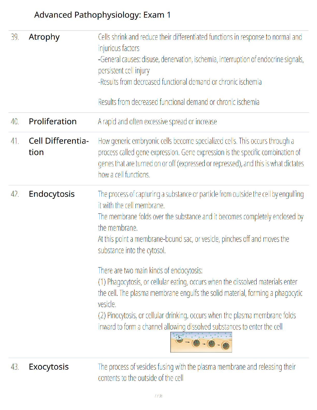 Preview page 6 of Advanced Pathophysiology Exam 1 Study Guide - Comprehensive Exam Review - Verified Questions and Answers - A+ Guaranteed