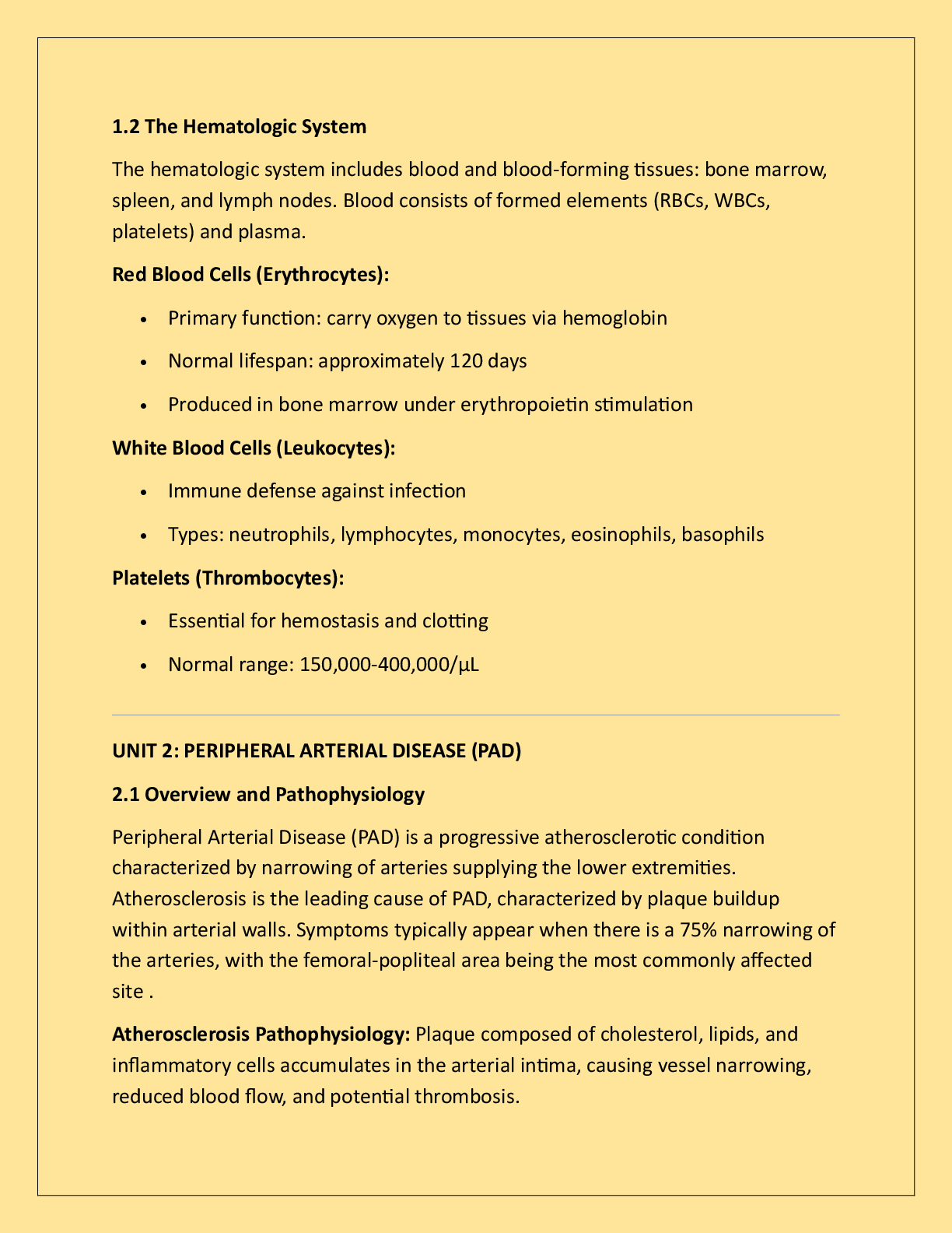 Preview page 2 of Medical Surgical Nursing - Peripheral Vascular  & Hematologic Disorders: Complete Lecture  Notes with Latest 2026 Editio