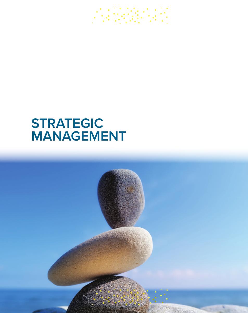 Preview page 2 of Strategic Management Creating Competitive Advantages Ever Green 2026 Release By Gregory Dess, Gerry McNamara, Alan Eisne