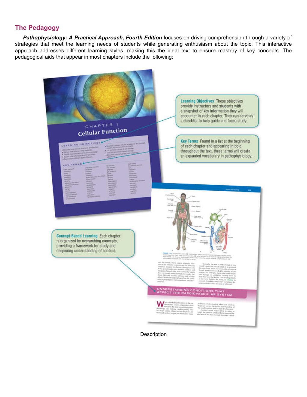 Preview page 3 of Pathophysiology A Practical Approach 4th Edition By Lachel Story