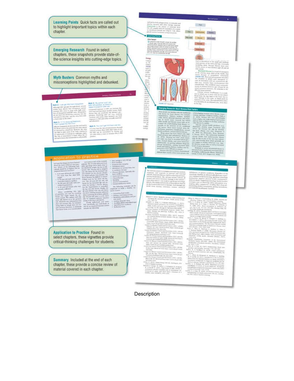 Preview page 4 of Pathophysiology A Practical Approach 4th Edition By Lachel Story