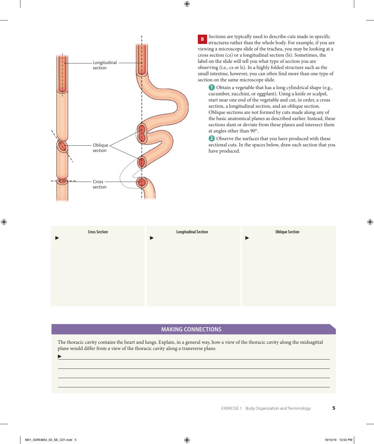 Preview page 2 of eBook Visual Anatomy & Physiology Lab Manual, Pig Version 2e Stephen Sarikas