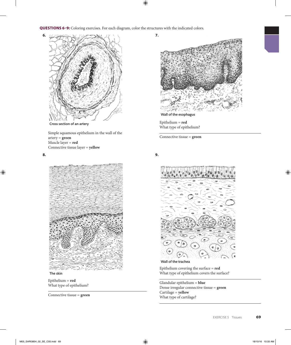 Preview page 6 of eBook Visual Anatomy & Physiology Lab Manual, Pig Version 2e Stephen Sarikas