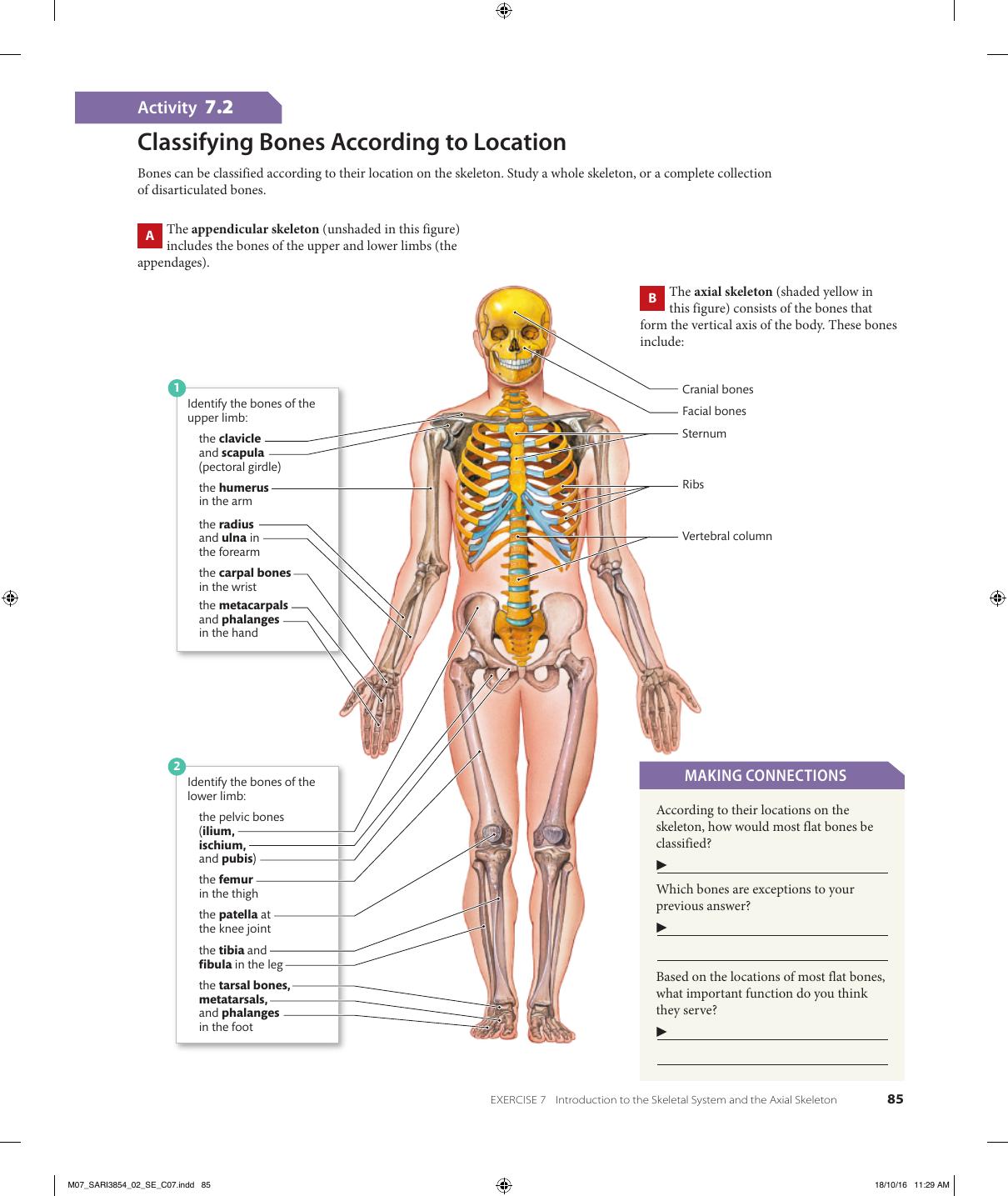 Preview page 7 of eBook Visual Anatomy & Physiology Lab Manual, Pig Version 2e Stephen Sarikas