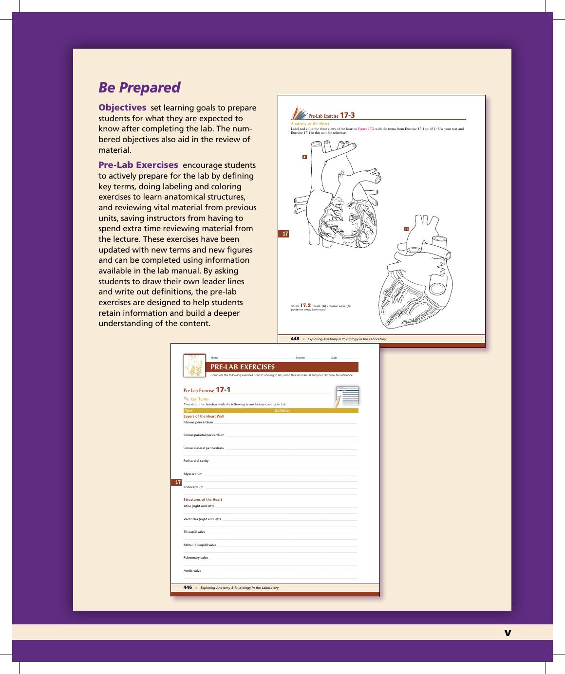 Preview page 6 of Exploring Anatomy and Physiology in the Laboratory 3rd Edition By Erin Amerman