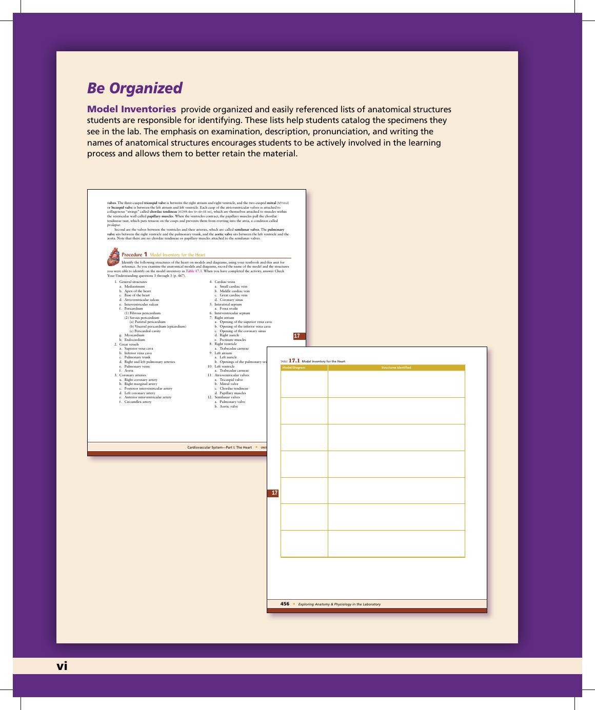 Preview page 7 of Exploring Anatomy and Physiology in the Laboratory 3rd Edition By Erin Amerman
