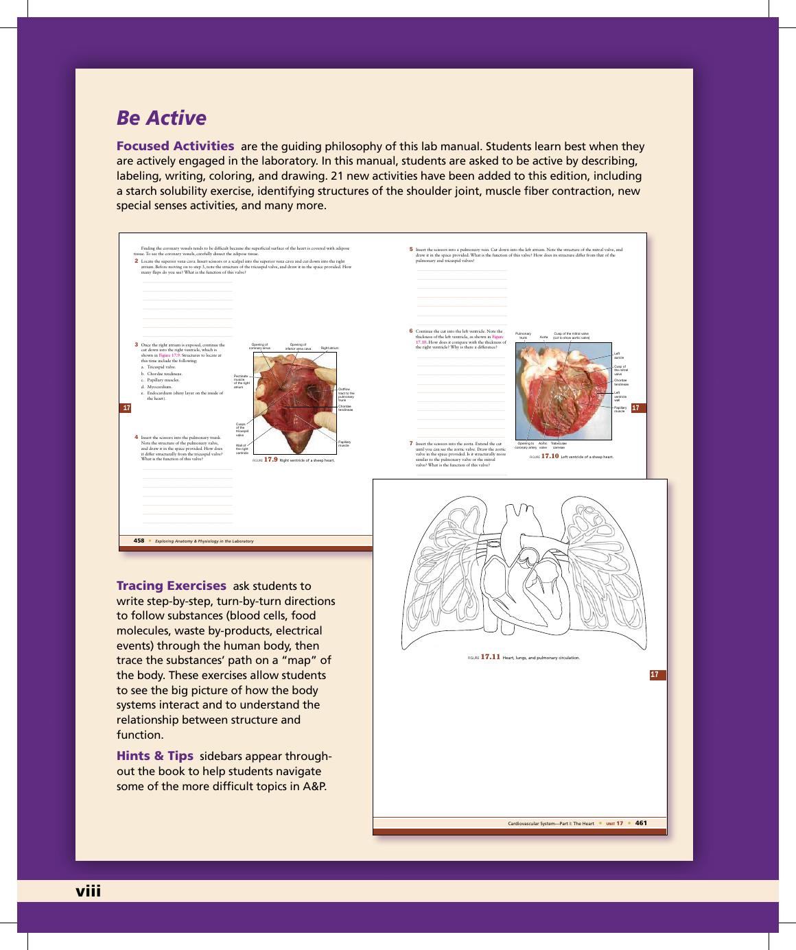 Preview page 9 of Exploring Anatomy and Physiology in the Laboratory 3rd Edition By Erin Amerman