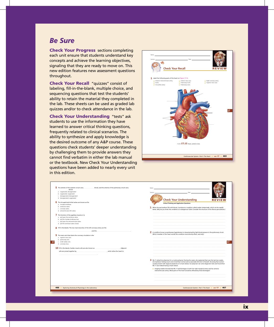 Preview page 10 of Exploring Anatomy and Physiology in the Laboratory 3rd Edition By Erin Amerman