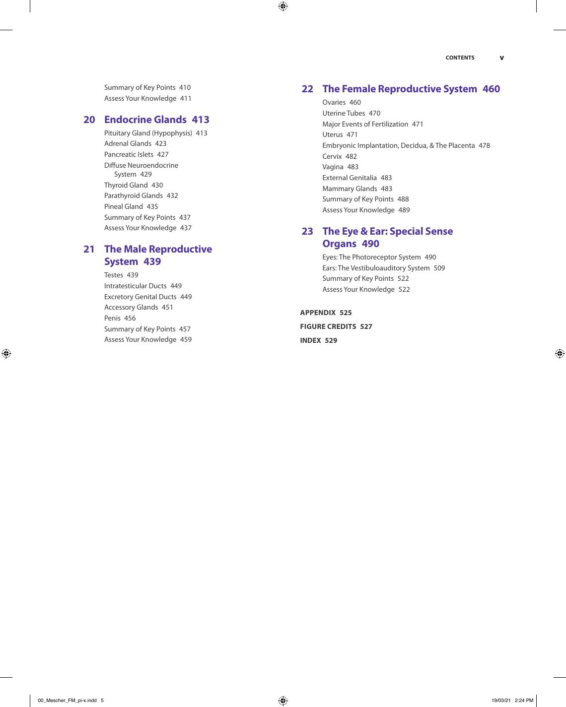 Preview page 6 of Junqueira's Basic Histology Text and Atlas 16th Edition By Anthony Mescher